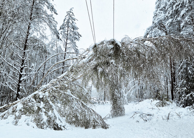 Išsiskleidę žiedai virto ledu, medžiai krito ant kelių ir automobilių