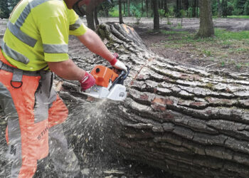 Medžius išpjovė neturėdami leidimo