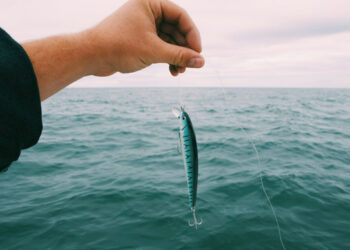 Žvejyba su kibimo indikatoriais – daugiau malonumo ir sėkmės