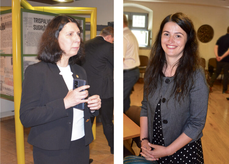 Vicemerė apie planą, kaip pagerbti žymius žmones