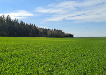 Įsibėgėja pasėlių ir naudmenų deklaravimas – žemdirbiai raginami jo neatidėlioti