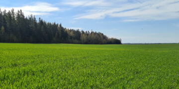 Įsibėgėja pasėlių ir naudmenų deklaravimas – žemdirbiai raginami jo neatidėlioti