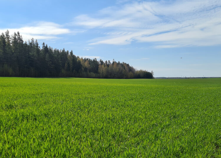 Įsibėgėja pasėlių ir naudmenų deklaravimas – žemdirbiai raginami jo neatidėlioti