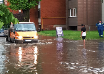 Liūtis patikrino nuotekų sistemas ir priminė neatidėliotinus darbus