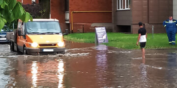 Liūtis patikrino nuotekų sistemas ir priminė neatidėliotinus darbus