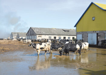 Ugniagesiui prireikė medikų pagalbos