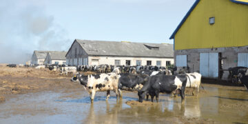 Ugniagesiui prireikė medikų pagalbos