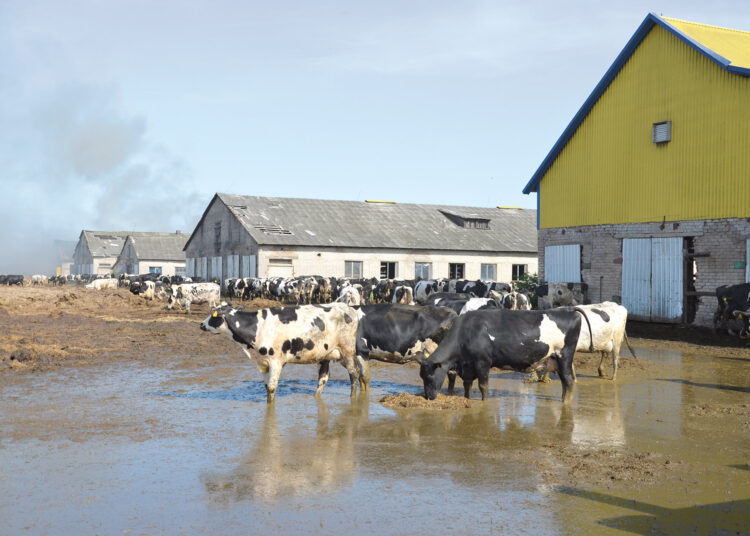 Ugniagesiui prireikė medikų pagalbos