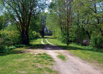 Ar Kilučių pusiasalyje vyksiantis festivalis – saugus?