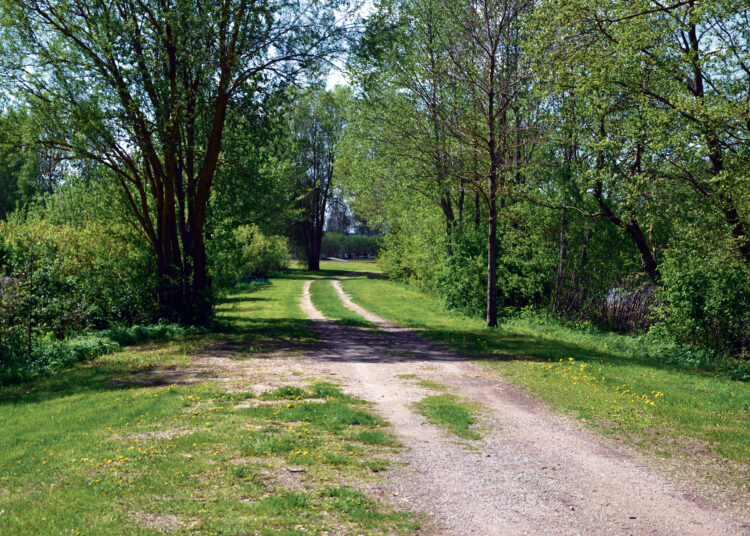 Ar Kilučių pusiasalyje vyksiantis festivalis – saugus?