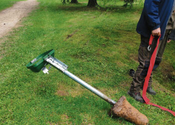 Vandalai grįžta į parkus?