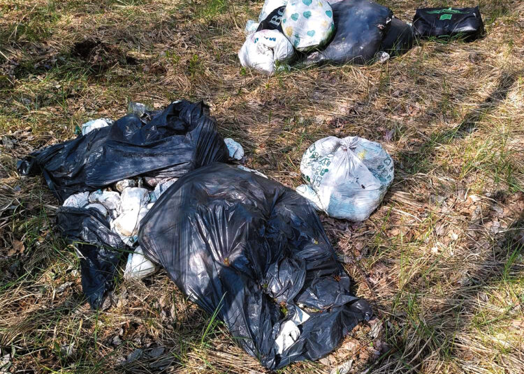 Vaiką užaugino ir sauskelnėmis atsikratė