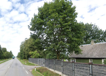 Kelias į gresiančią nelaimę