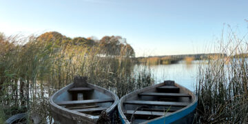 Nori šienauti ežerą – susiduria su kliūtimis