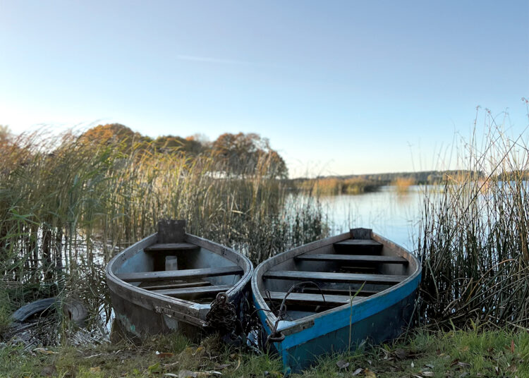 Nori šienauti ežerą – susiduria su kliūtimis