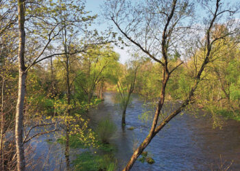 Vanduo pakilo kaip po ledonešio