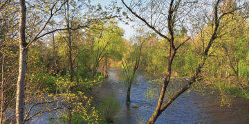 Vanduo pakilo kaip po ledonešio