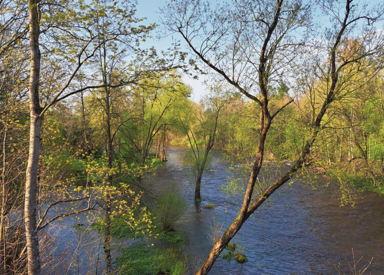 Vanduo pakilo kaip po ledonešio