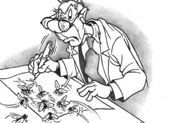 Direktorių interesai