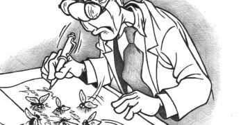 Direktorių interesai