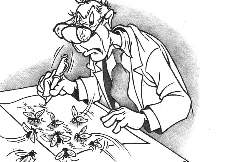 Direktorių interesai