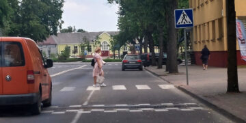 Greičio mažinimo kalnelio kol kas nenaikins