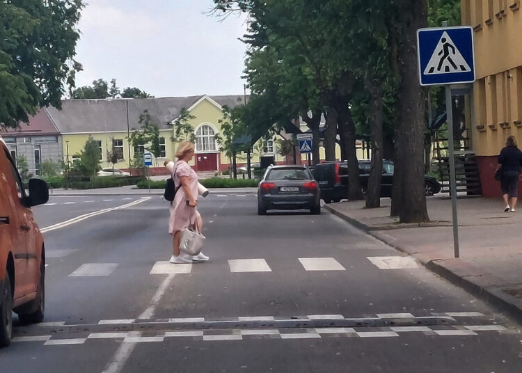 Greičio mažinimo kalnelio kol kas nenaikins