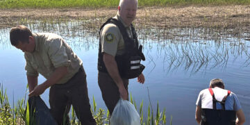Rajono upės papildytos lašišinėmis žuvimis