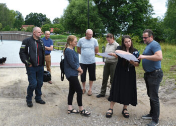 Medžių ir aikščių konfliktas