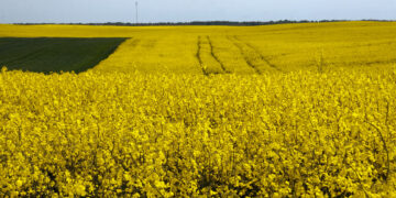 Savitarpio pagalba dideliems finansiniams nuostoliams išvengti