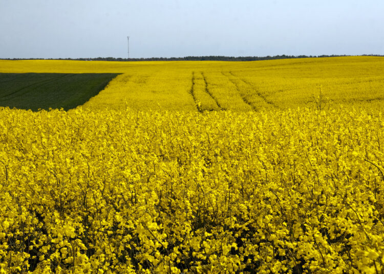 Savitarpio pagalba dideliems finansiniams nuostoliams išvengti