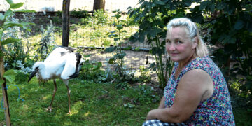 Namai, kur vietą randa mažieji nelaimėliai