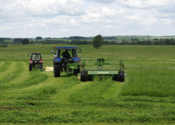 Smulkių-vidutinių ūkių plėtrai – svari parama