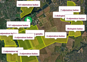 Lietuvos kaimo tinklo narių projektams įgyvendinti – parama