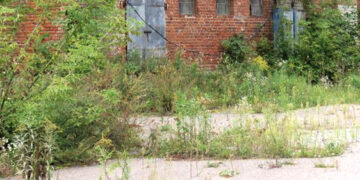 Geras kaimynas – tvarkingas kaimynas