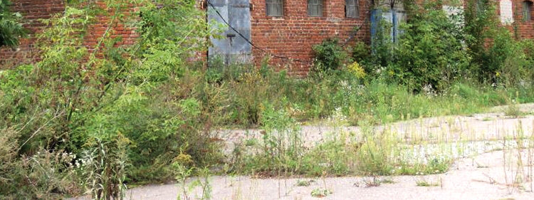 Geras kaimynas – tvarkingas kaimynas