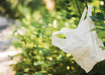 Raštas apie išieškomą skolą kabojo ant aviečių krūmo