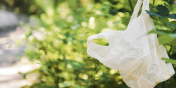 Raštas apie išieškomą skolą kabojo ant aviečių krūmo