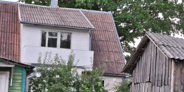 Nauja nepolitinė organizacija – su politiniu šleifu