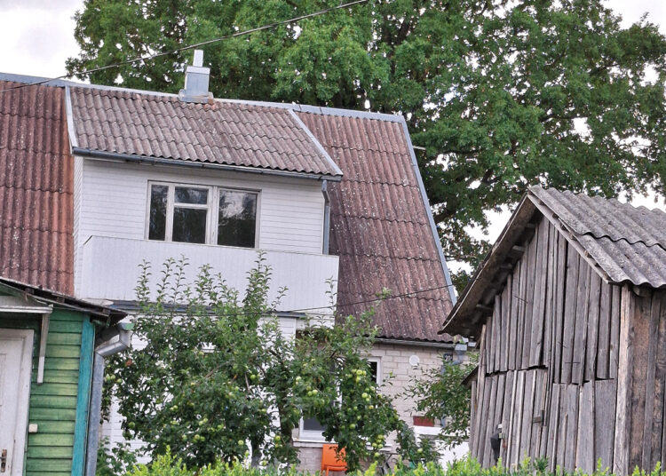 Nauja nepolitinė organizacija – su politiniu šleifu