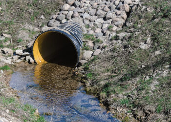 Pralaidą turės įteisinti arba išardyti