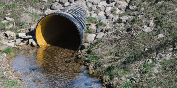 Pralaidą turės įteisinti arba išardyti
