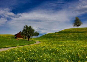 Pavasaris: stogo būklės įvertinimas ir kiti svarbūs darbai nuosavuose namuose ir sodybose