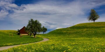 Pavasaris: stogo būklės įvertinimas ir kiti svarbūs darbai nuosavuose namuose ir sodybose