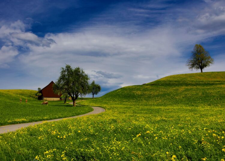 Pavasaris: stogo būklės įvertinimas ir kiti svarbūs darbai nuosavuose namuose ir sodybose