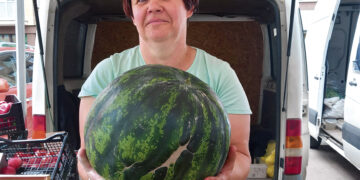 Prekyboje – vietinio ūkininko arbūzai