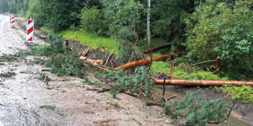Audra praėjo – padariniai dar juntami