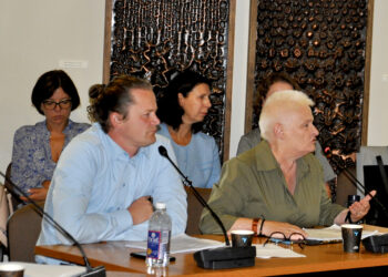 LIDL eina: vieni mato viltį, kiti įžvelgia krachą