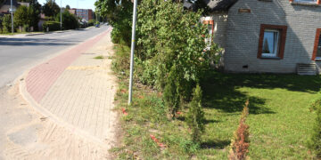 Buvo krūmas, ir krūmo nebėr