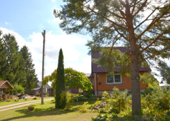 Privačioje valdoje pasielgė kaip vandalas